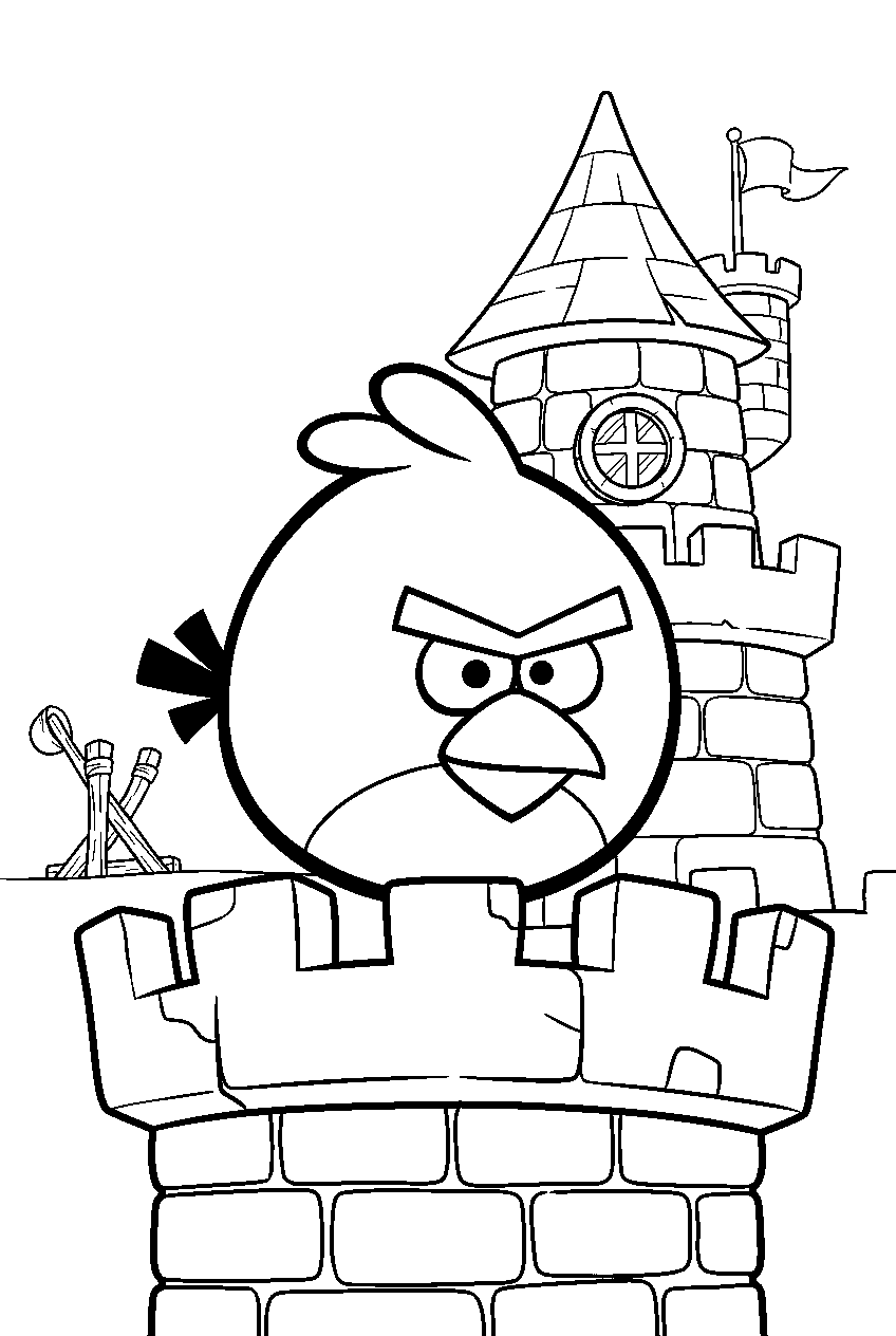 angry birds red at king pig s castle line art