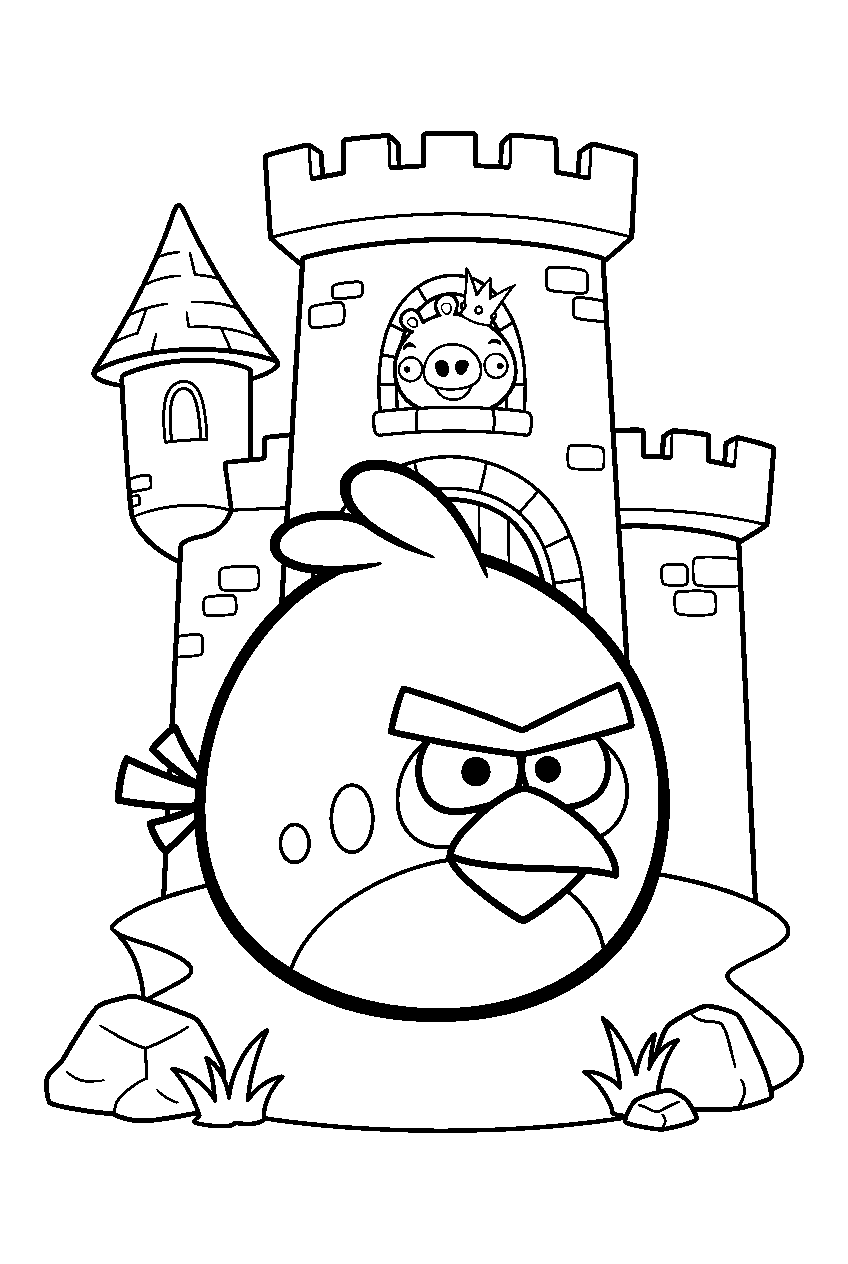 angry birds at king pig s castle line art