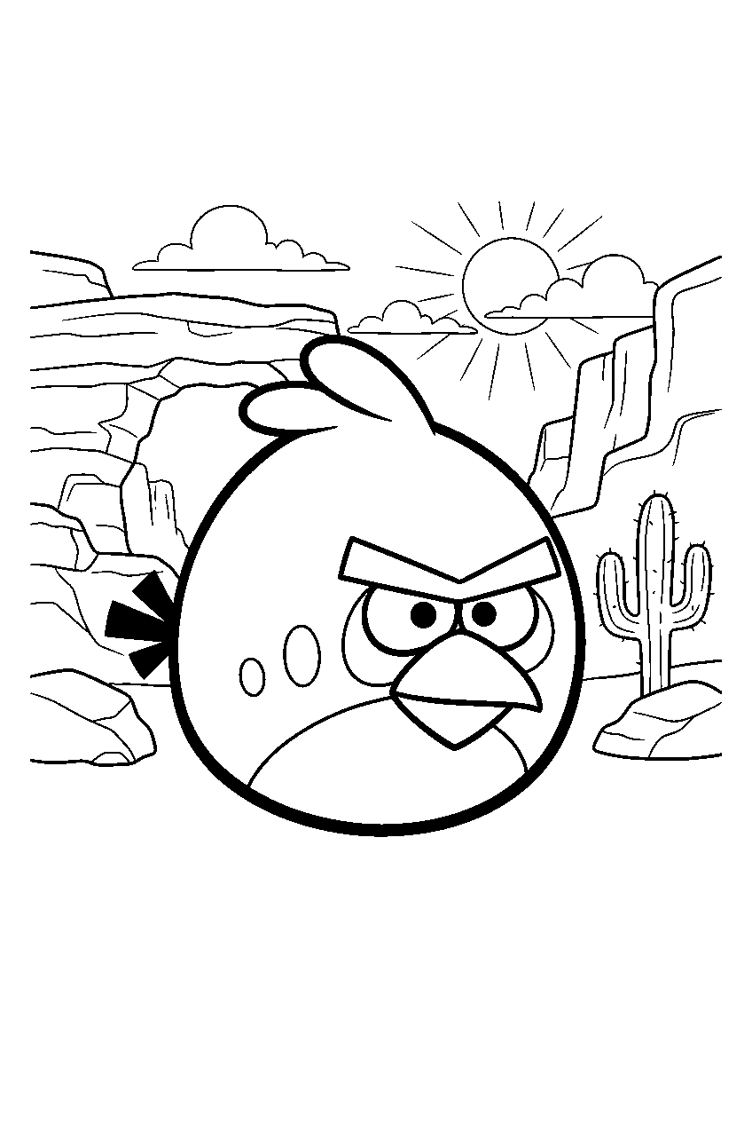 angry birds in desert canyon line art