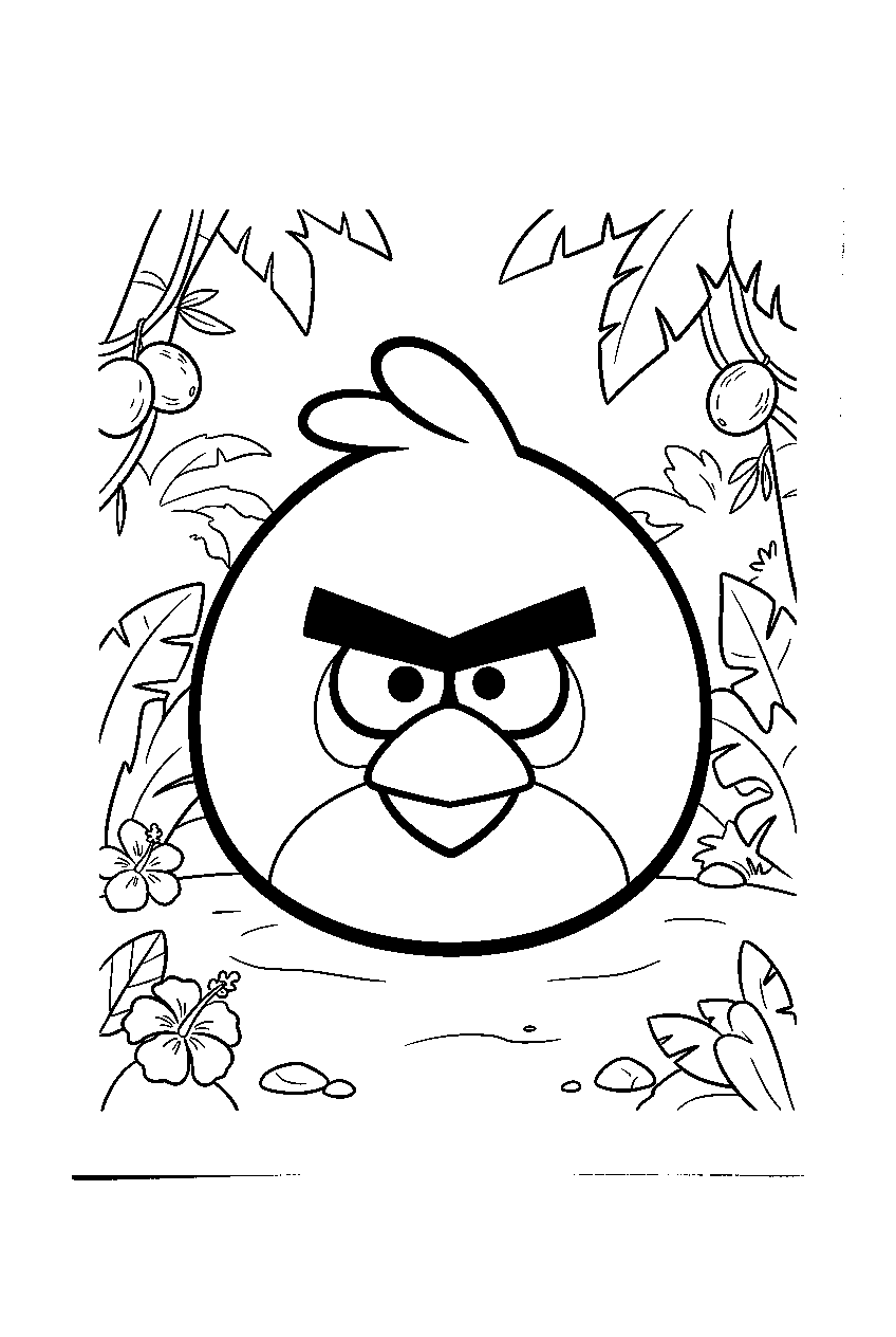 angry birds in tropical forest line art
