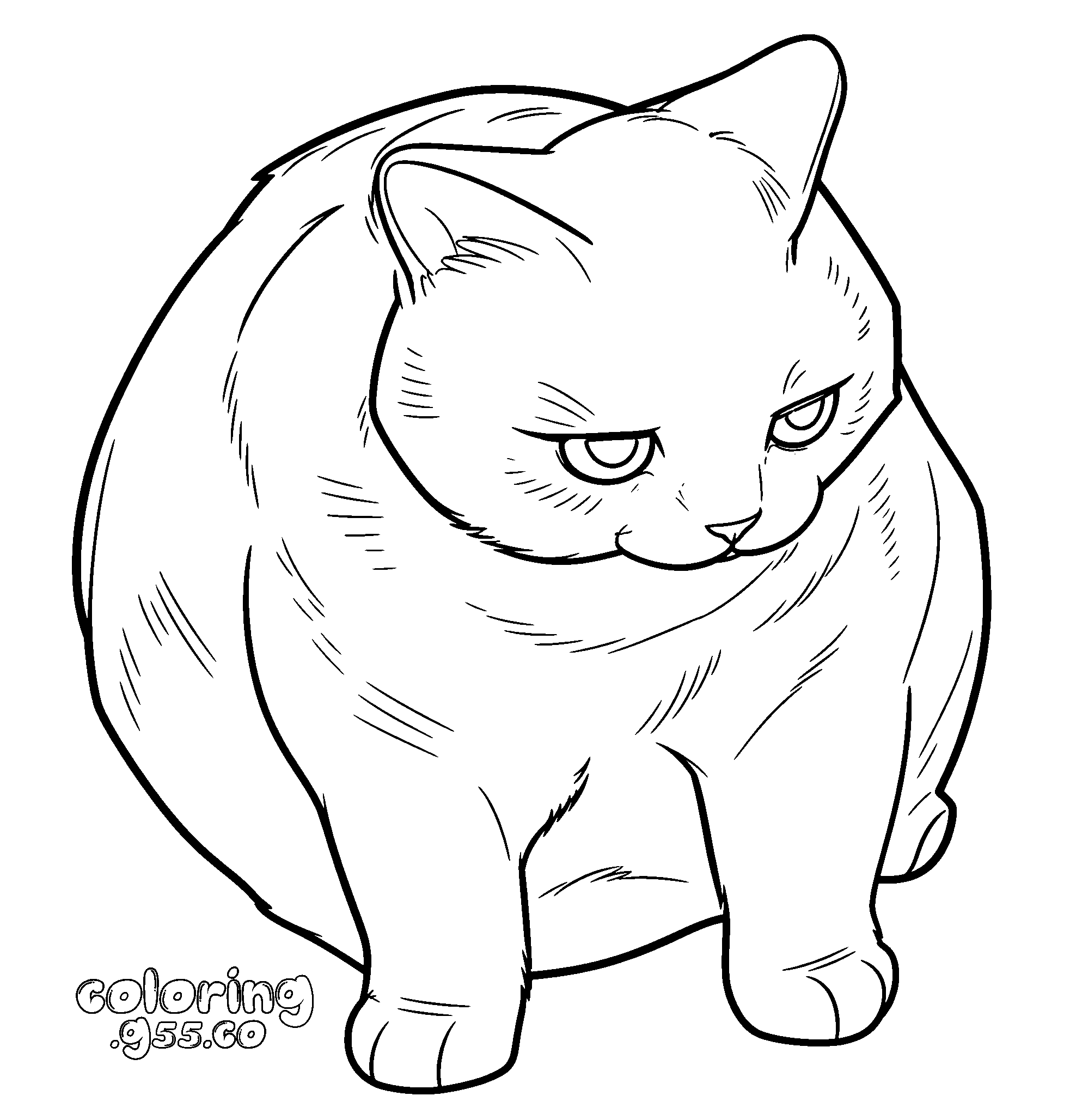 cute chubby fat cat line art