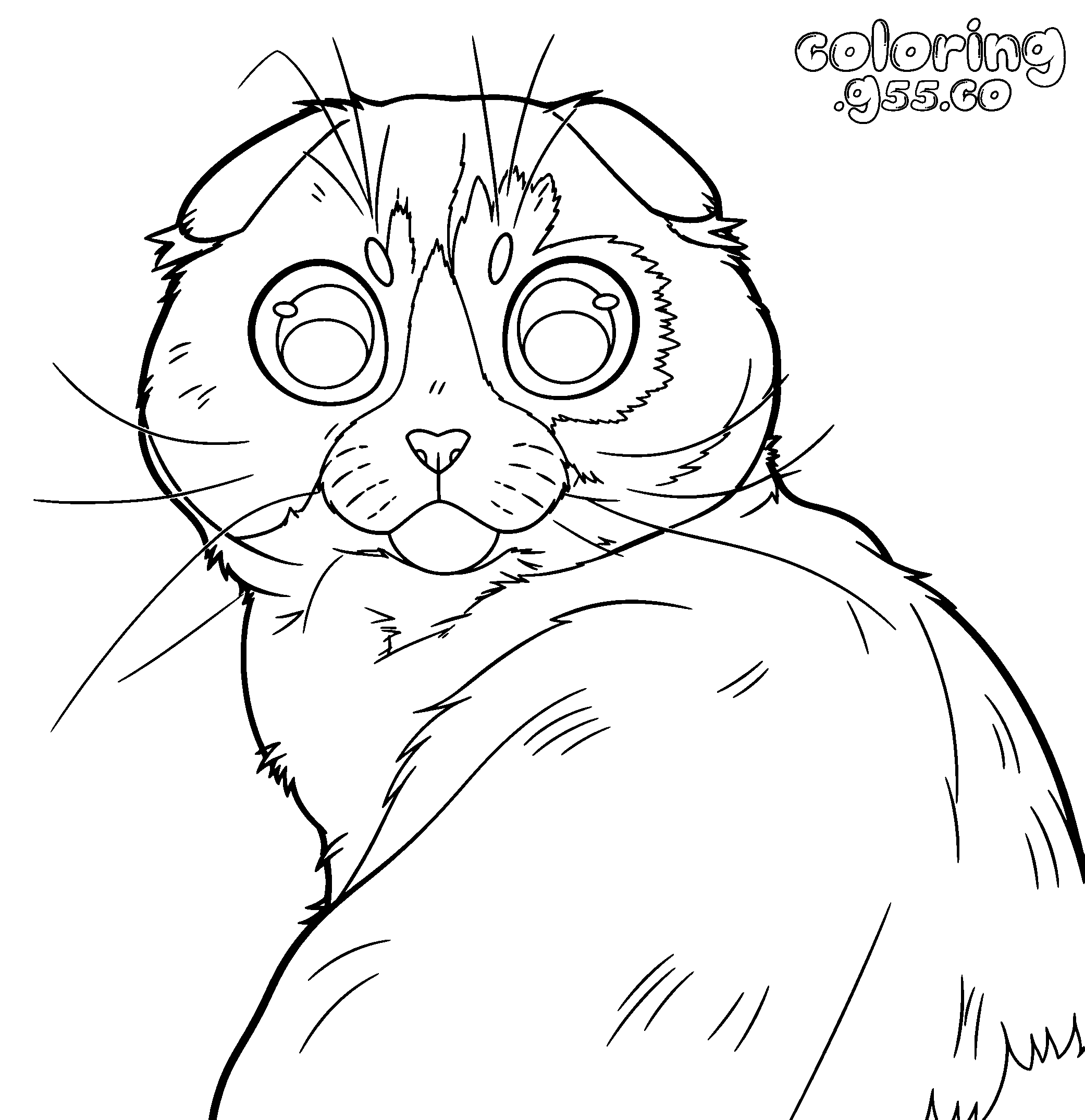 cute scottish fold cat line art