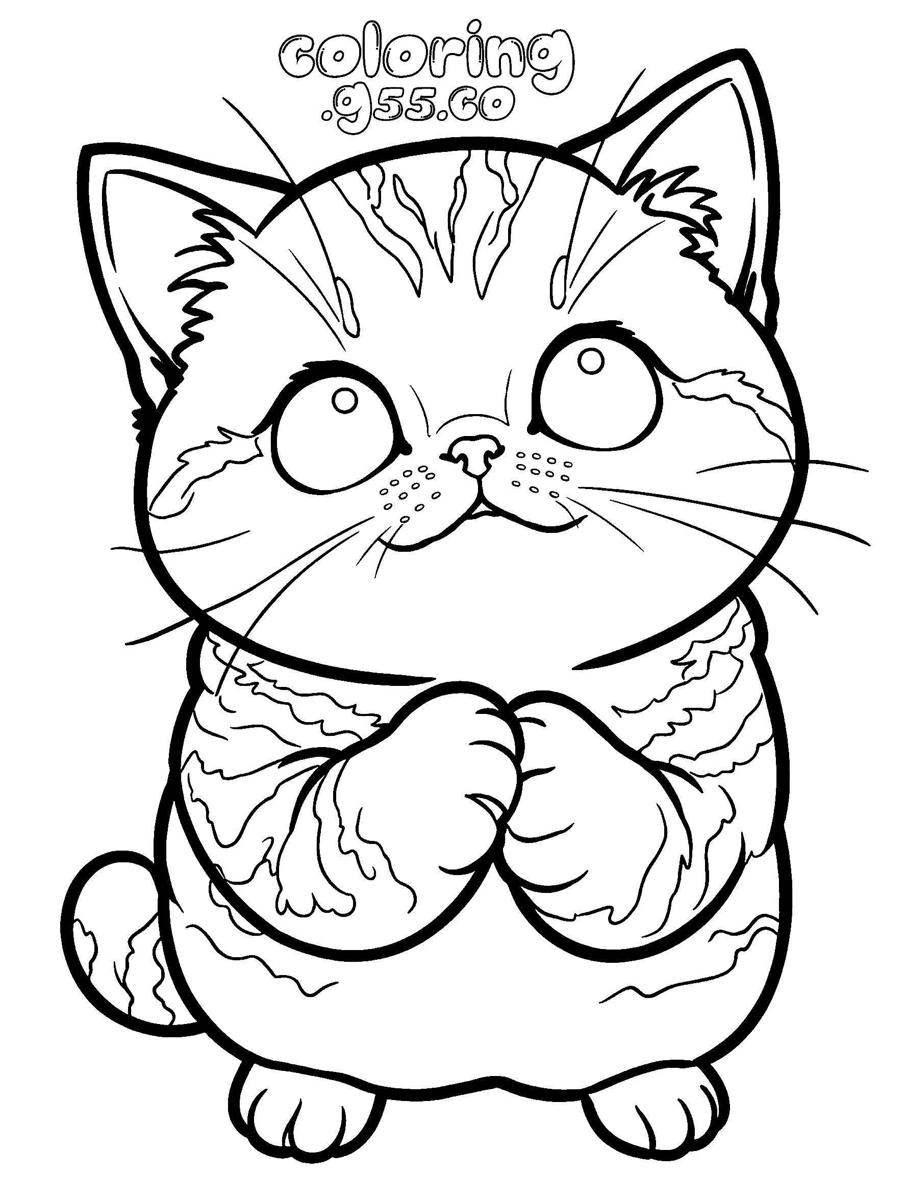 begging cute cat line art for kids sweet kitten animals sheet