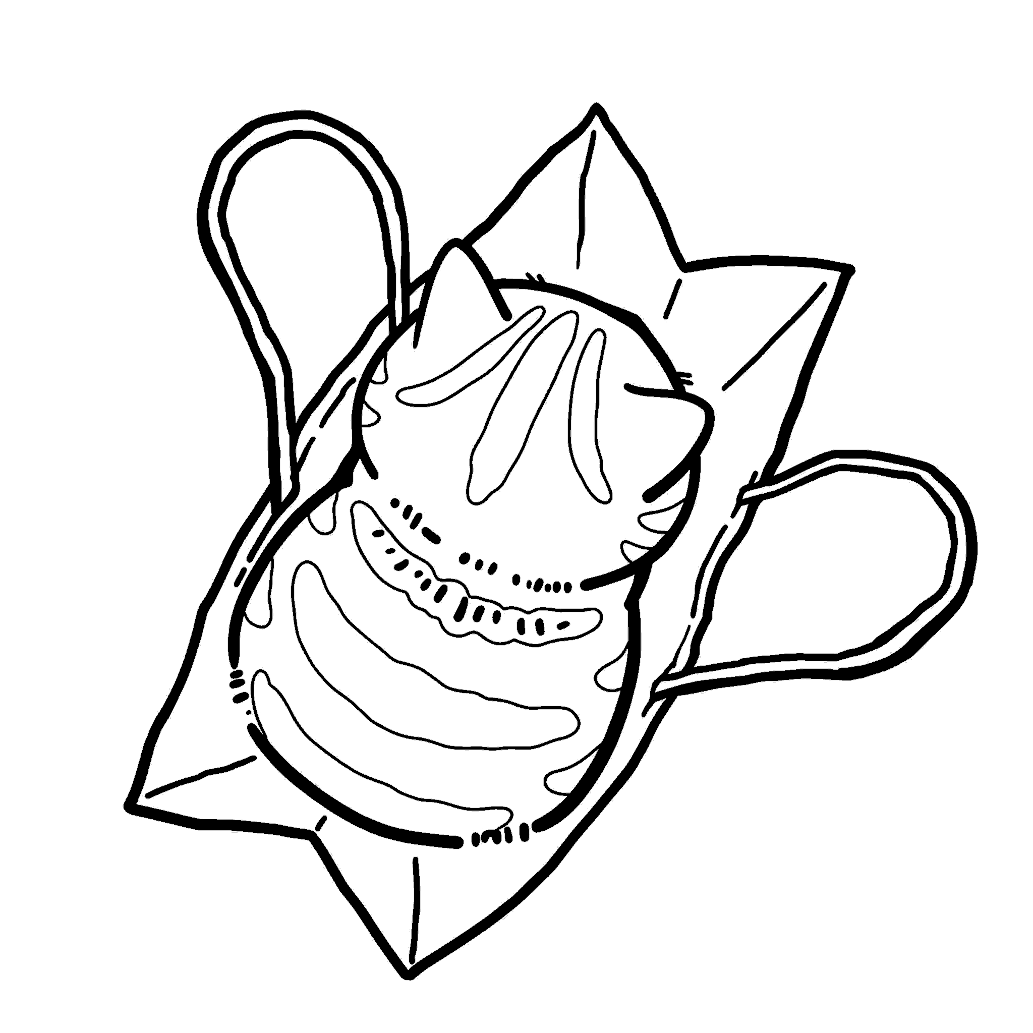 cat in paper bag line art for kids funny cute animals sheet