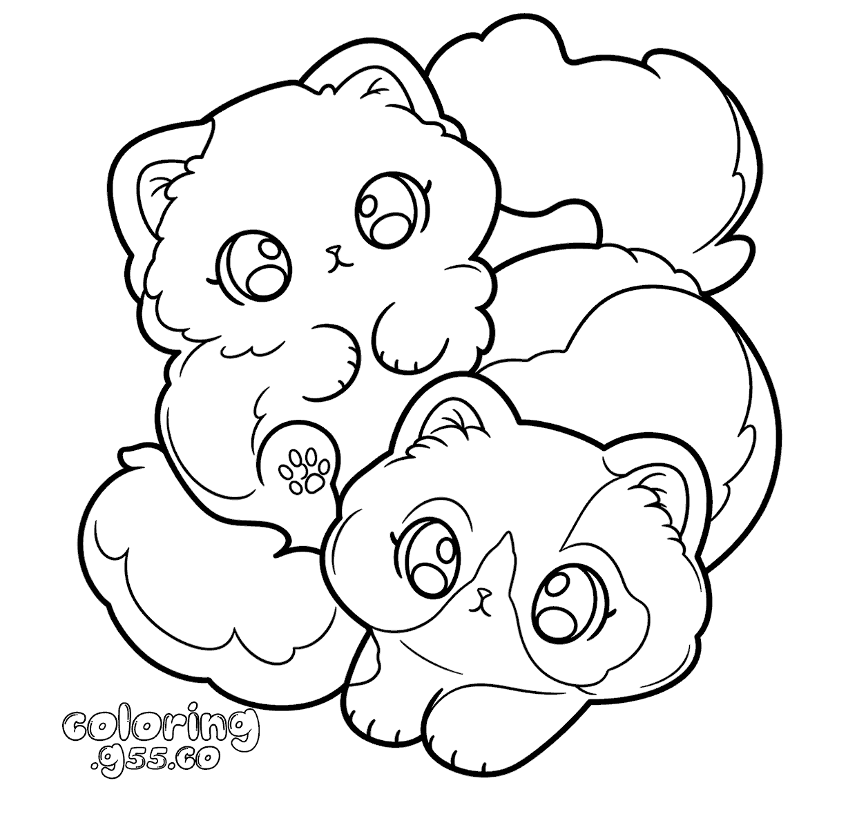 cute fluffy kittens line art for kids kawaii pets animals sheet