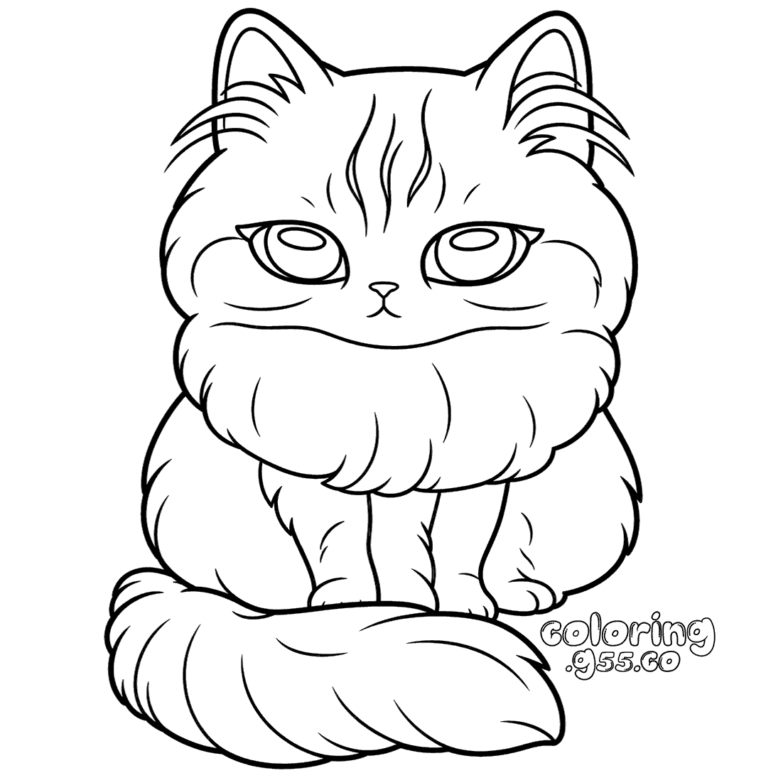 cute fluffy persian cat line art for kids kawaii kitty animals sheet