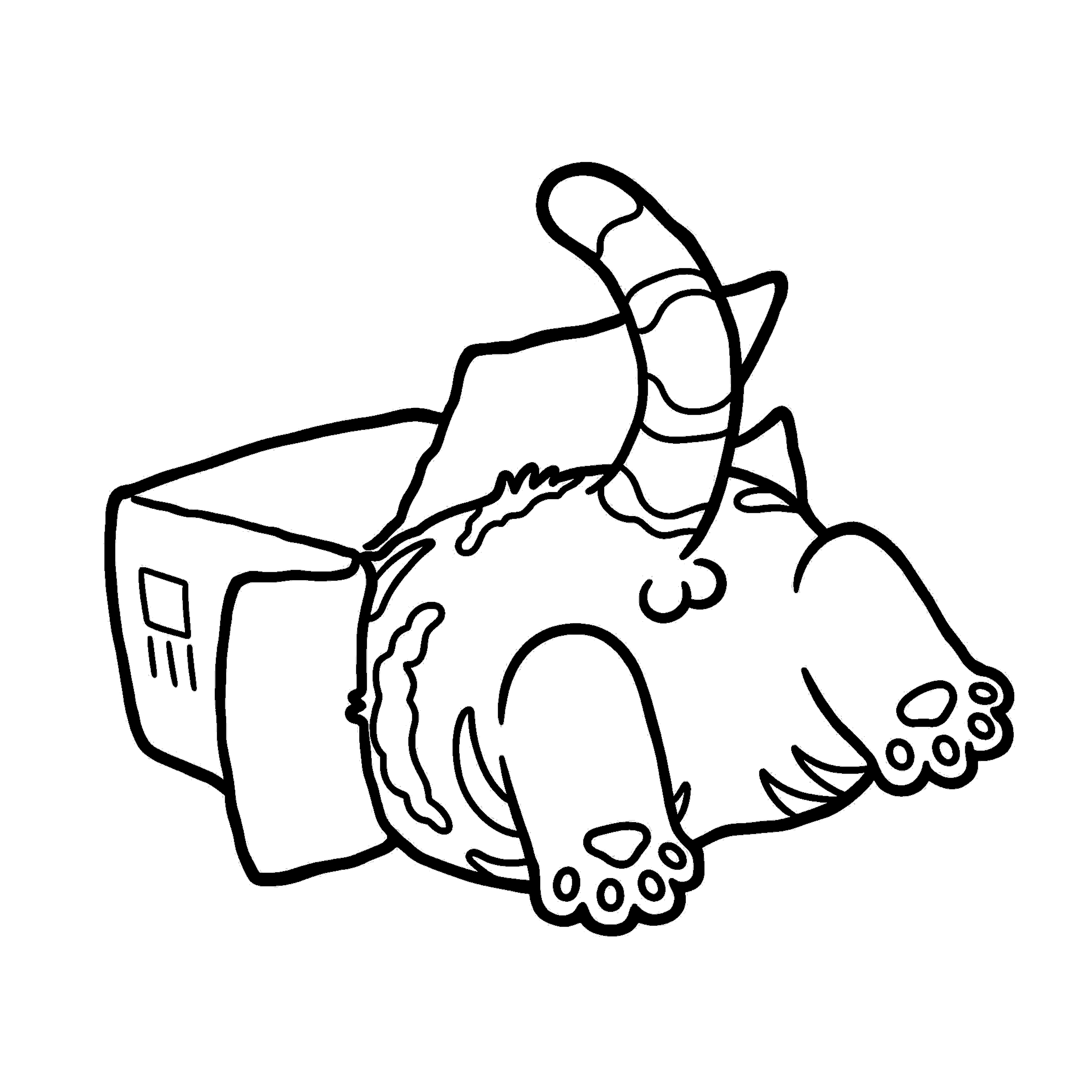 funny cat stuck in box line art for kids silly animals sheet