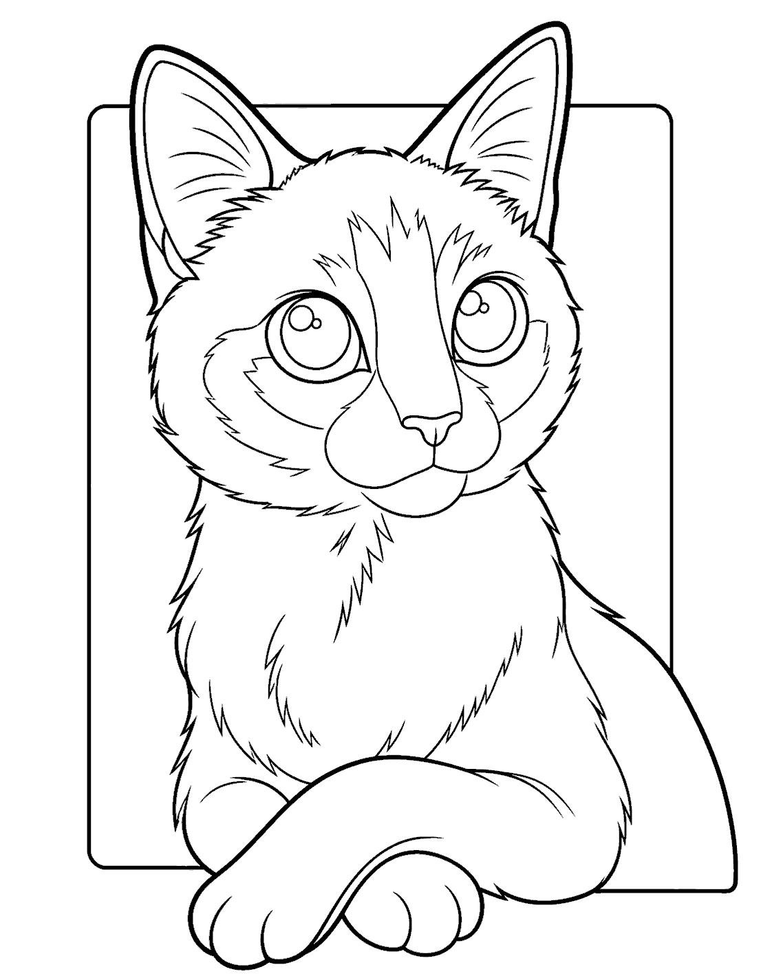 siamese cat line art for kids realistic cute animals sheet