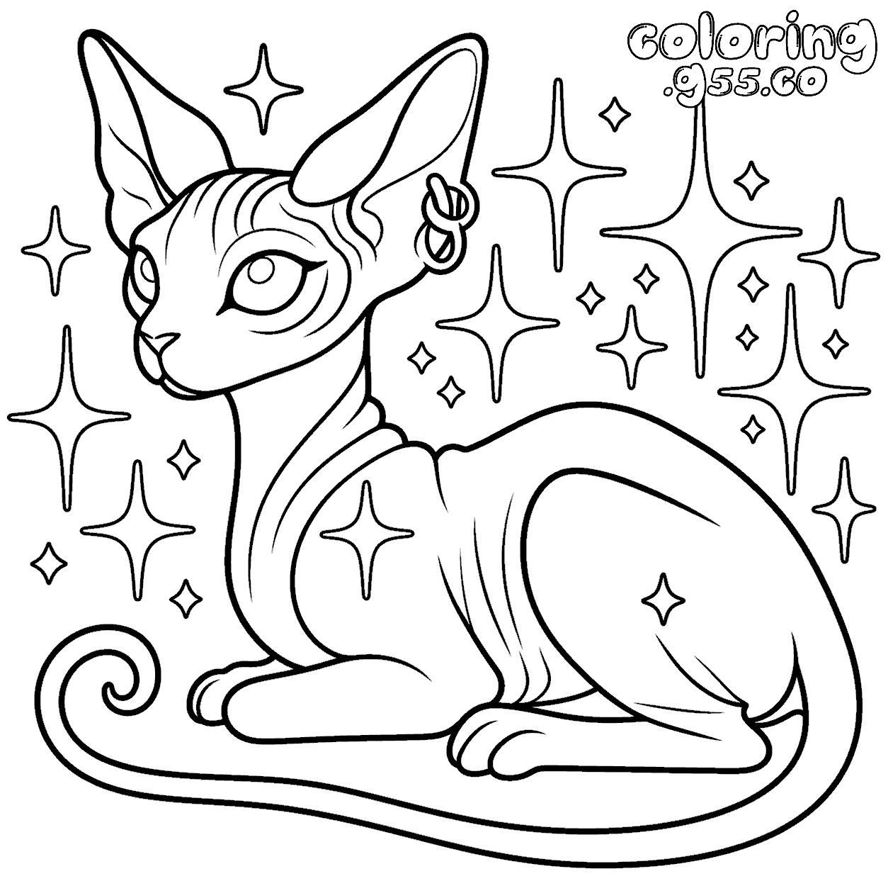 sphynx cat line art for kids magical hairless kitty animals sheet
