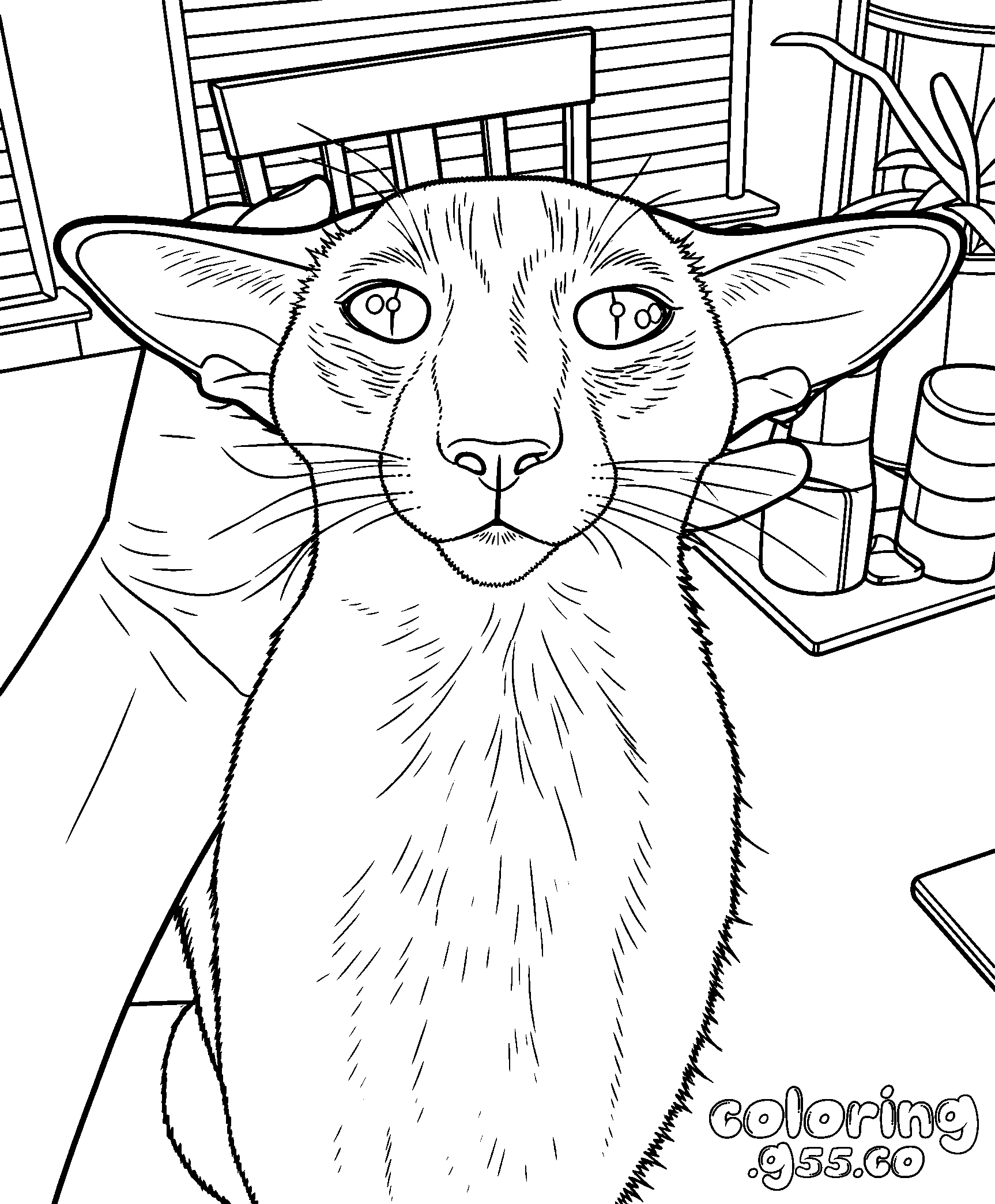 oriental shorthair cat line art