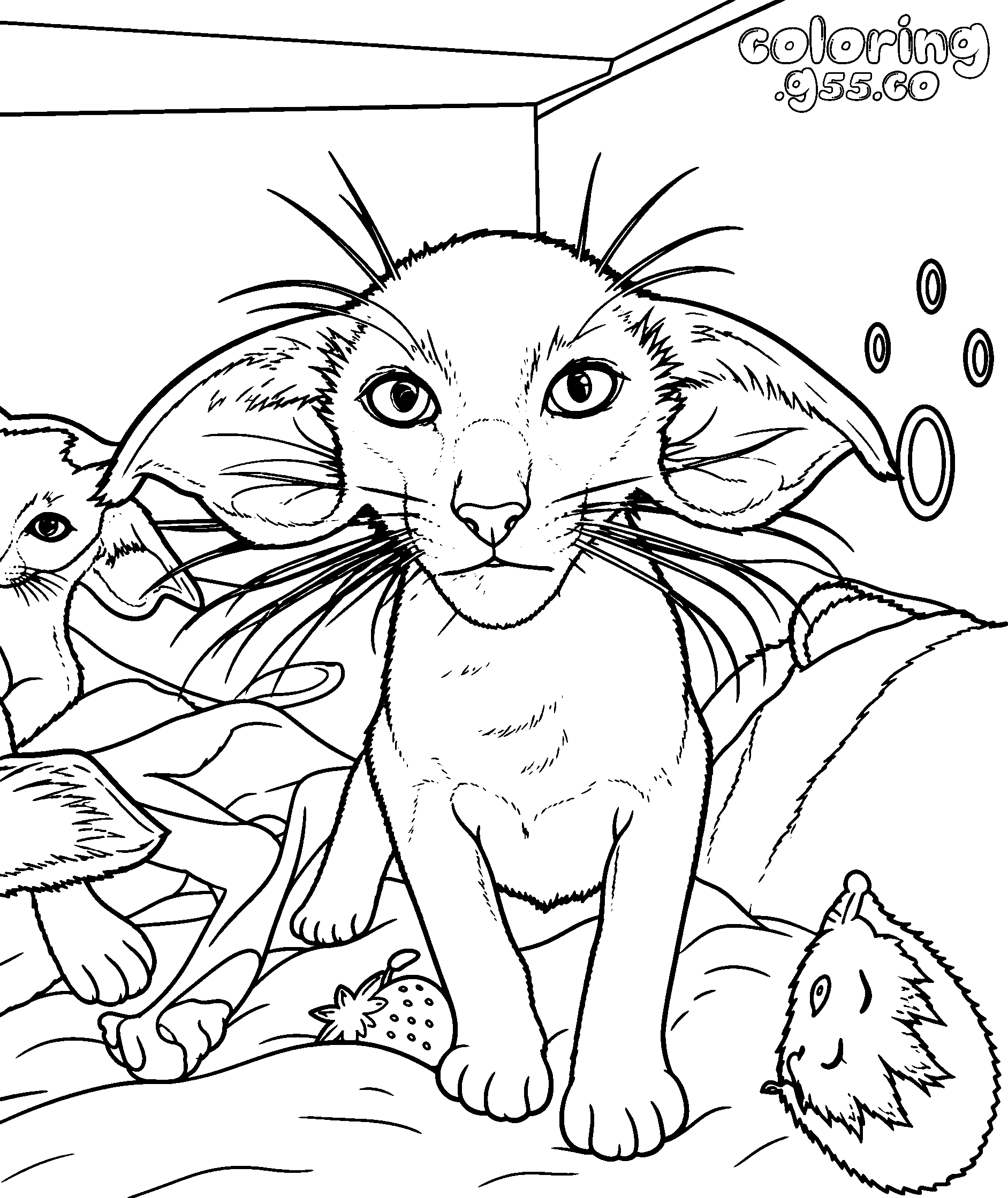 oriental shorthair cat with plush toys line art
