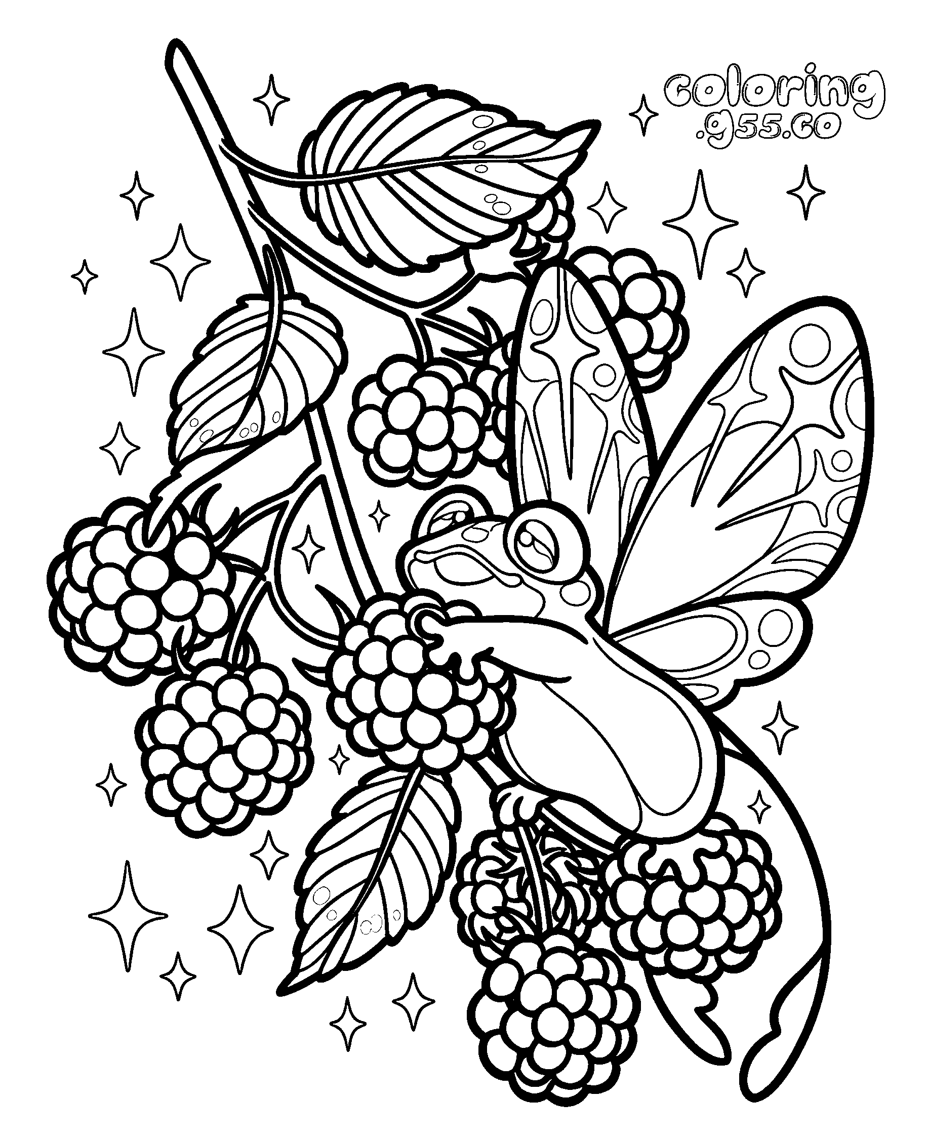 fairy frog and blackberries line art for kids