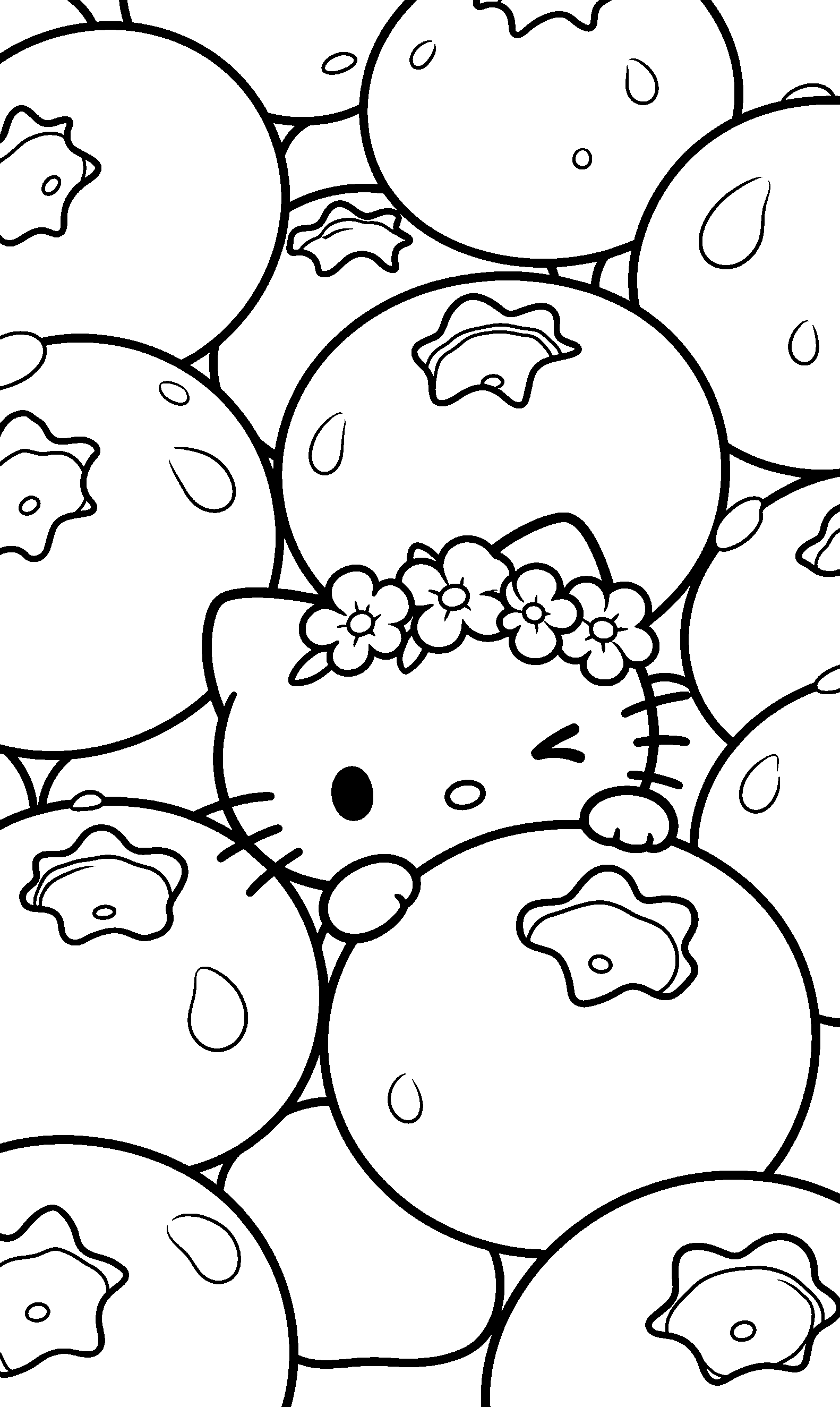 hello kitty blueberry garden adventure line art